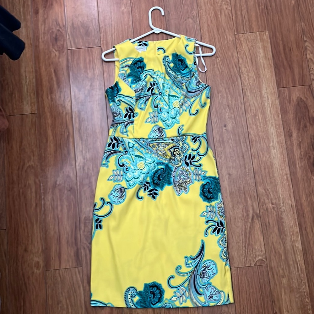 Dress Barn Dress
